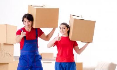 属牛人如何与同事相处