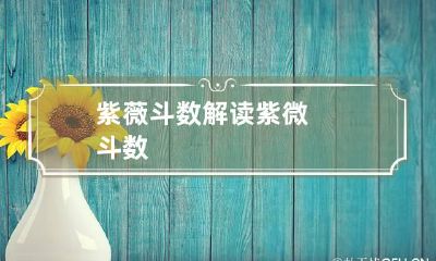 紫薇斗数解读 紫微斗数