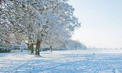 女人梦见厚厚的雪