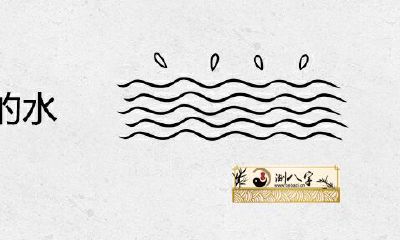 梦见大面积的水