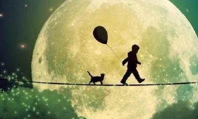 孕妇梦见击败蛇