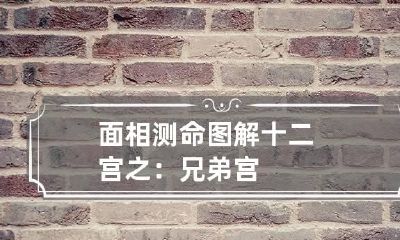 面相测命图解十二宫之：兄弟宫