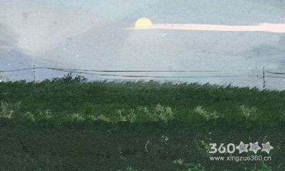 罗镇老师2017年5月生肖猪运势