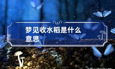 梦见收水稻是什么意思