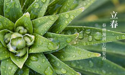 2022年有立春吗？2022年立春是农历哪一天？