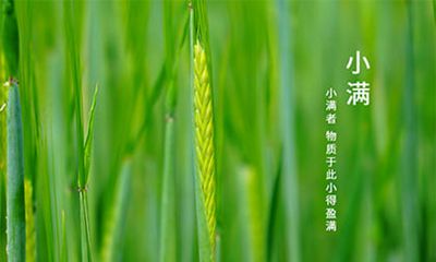 2022年小满是哪一天？小满节气相关谚语俗语解析！