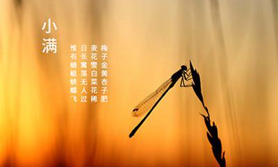 2022年小满节气倒计时，小满是每年的第几个节气？