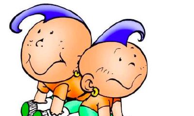 双子女和处女男配对