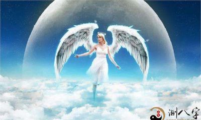梦到天使之