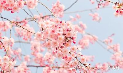 今年农历三月有30天吗？2023三月最后一天是几月几号