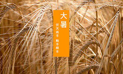 2022年大暑是几月几号？大暑节气经典诗词