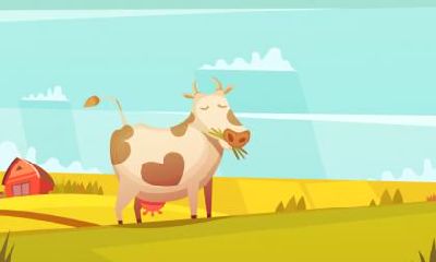 为属牛爸爸选礼物