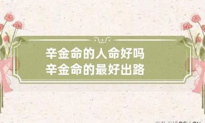 辛金命的人命好吗 辛金命的最好出路