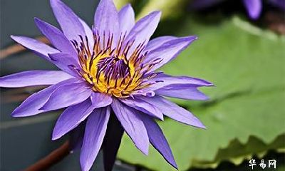 塔罗牌到底准不准？为什么准的吓人？