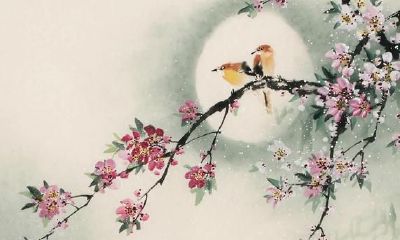 桃花落全身，四十岁后必有一次桃花劫的属相