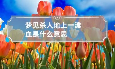 梦见杀人地上一滩血是什么意思