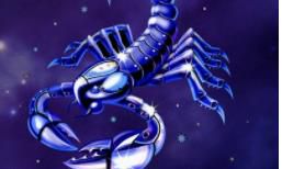 十二星座哪个星座适合天蝎座？