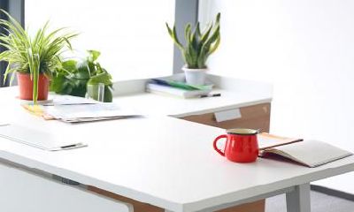 属马的人怎么应对职场？