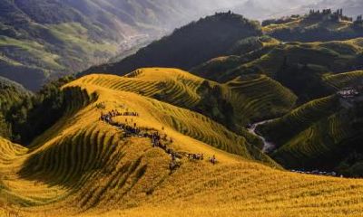 秋分是法定节假日吗？2020年秋分放假吗？