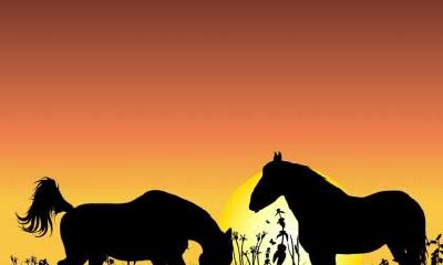 属马人如何摆脱失恋阴影