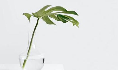 属马的人属于什么物品