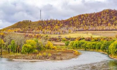 秋分无生田,不熟也得割是什么意思？秋分是什么意思？