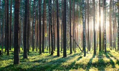 秋分日太阳直射点在什么位置？秋分气温多少度？
