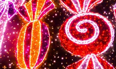 龙妈妈生虎宝好吗？