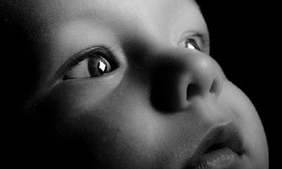 76龙一生有多少孩子？