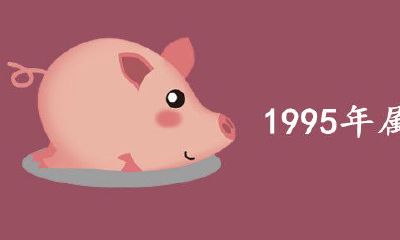 1995什么是年属猪？