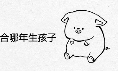 95年猪适合哪一年生孩子