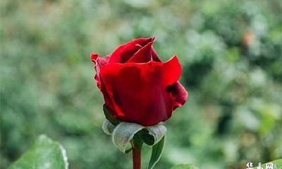 使用塔罗牌有什么注意事项吗？塔罗牌的禁忌！