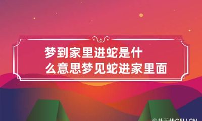 梦到家里进蛇是什么意思 梦见蛇进家里面是什么意思