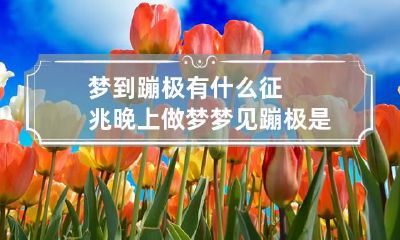 梦到蹦极有什么征兆 晚上做梦梦见蹦极是什么意思