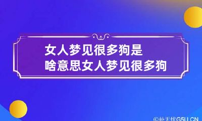 女人梦见很多狗是啥意思 女人梦见很多狗是啥意思周公解梦
