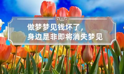 做梦梦见钱坏了，身边是非即将消失 梦见把钱弄坏了