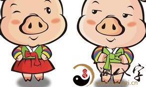 几点生的猪最好命？