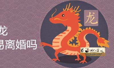 88属龙的非常容易离婚吗