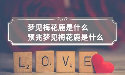 梦见梅花鹿是什么预兆 梦见梅花鹿是什么预兆周公解梦