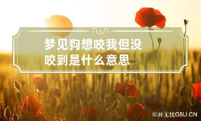 梦见狗想咬我但没咬到是什么意思