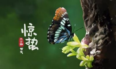 霜降节气有哪些民俗风俗活动？霜降吃冻柿好不好？