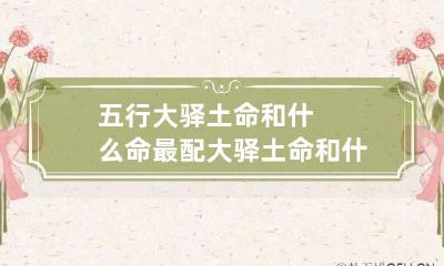 五行大驿土命和什么命最配 大驿土命和什么命相克