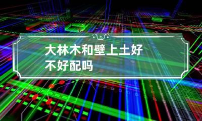 大林木和壁上土好不好 配吗