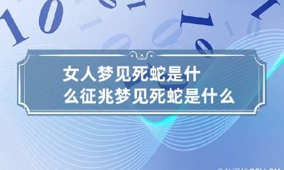 女人梦见死蛇是什么征兆 梦见死蛇是什么意思