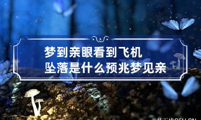 梦到亲眼看到飞机坠落是什么预兆 梦见亲眼看见飞机坠地