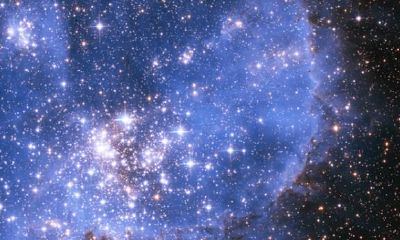 传说中的万年颜狗出现了，十二星座颜控排行榜！