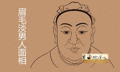 眉毛淡的男人面相性格有什么喻意
