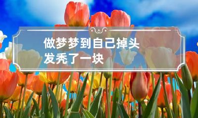 做梦梦到自己掉头发秃了一块