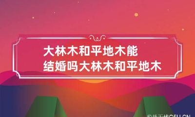 大林木和平地木能结婚吗 大林木和平地木哪个好