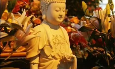 通读三世因果文，搞清楚因果报应的来因